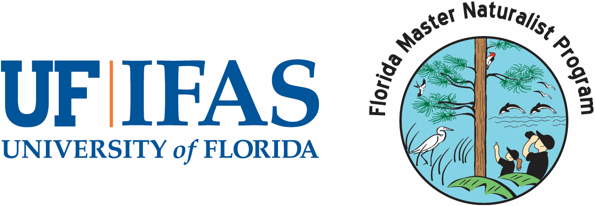 Join Certified Florida Master Naturalist Ronen Tivony for wildlife photography tours and workshops across Florida’s unique natural habitats.