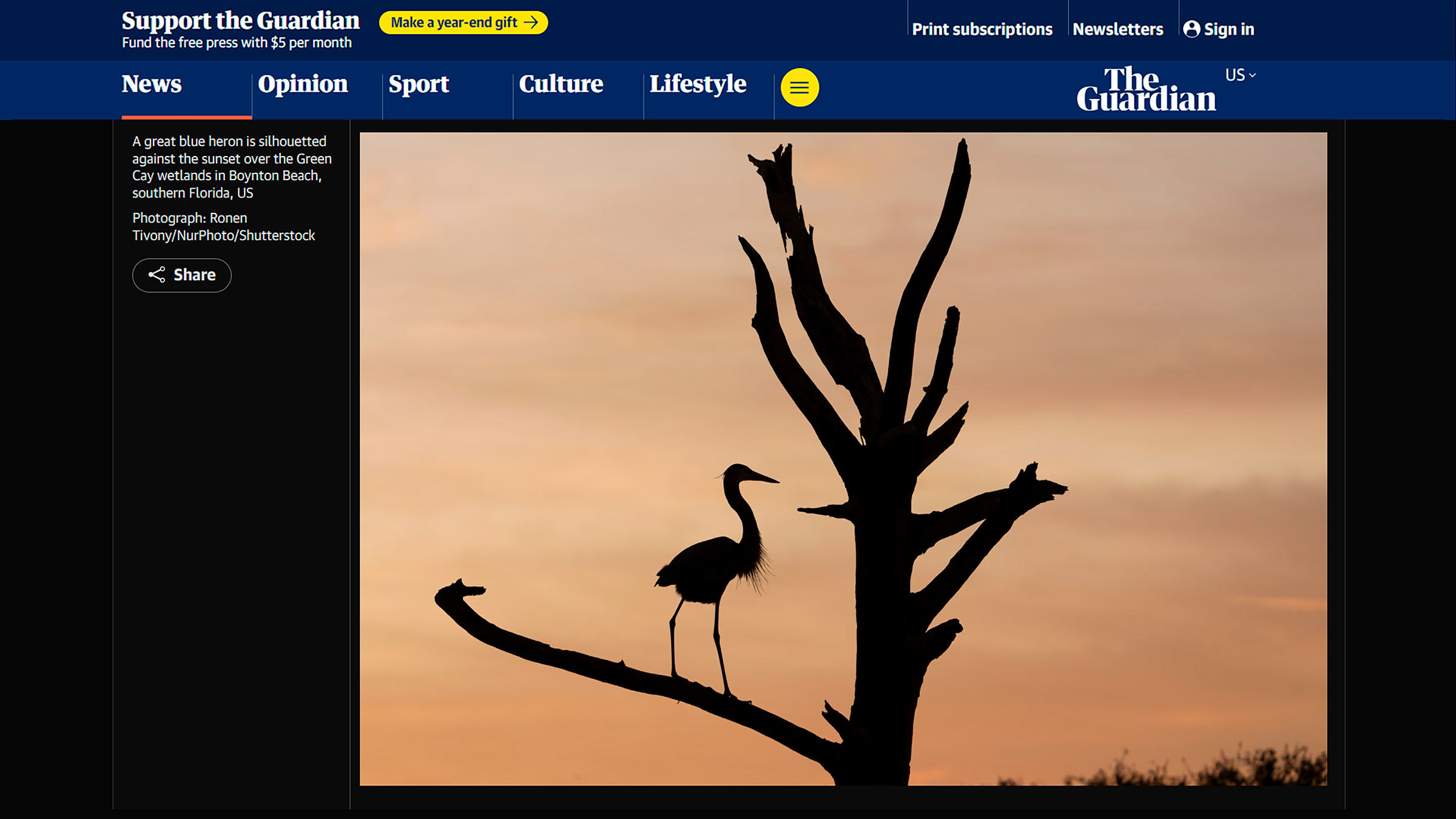 Great Blue Heron silhouetted at sunset over Green Cay Wetlands in Boynton Beach, Florida – wildlife photography by Ronen Tivony