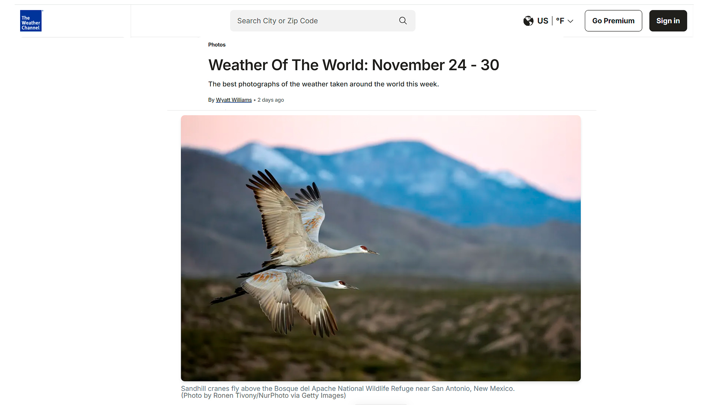 Sandhill cranes in graceful flight over the golden wetlands of Bosque del Apache National Wildlife Refuge in New Mexico, wildlife photograph by Ronen Tivony, as published by The Weather Channel.